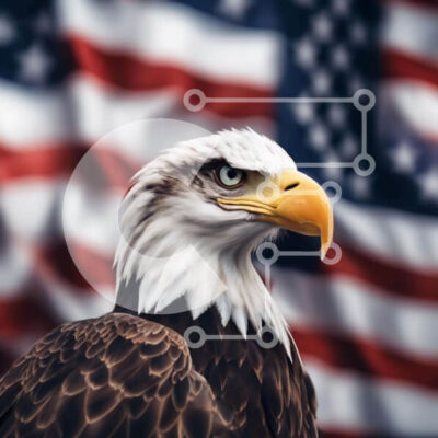 Intra Συλλεκτικό Ξύλινο Παζλ Plywood  4mm - Φαλακρός αετός και αμερικανική σημαία Σε Ξύλινο Κουτί - Διαστάσεις: 10x10 cm – 25 κομμάτια - Image 1