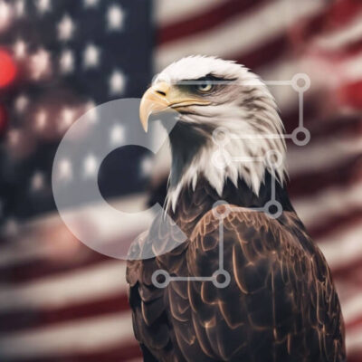 Intra Συλλεκτικό Ξύλινο Παζλ Plywood  4mm - Φαλακρός αετός και αμερικανική σημαία Σε Ξύλινο Κουτί - Διαστάσεις: 10x10 cm – 25 κομμάτια - Image 1