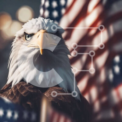 Intra Συλλεκτικό Ξύλινο Παζλ Plywood  4mm - Φαλακρός αετός μπροστά από την αμερικανική σημαία Σε Ξύλινο Κουτί - Διαστάσεις: 10x10 cm – 25 κομμάτια - Image 1