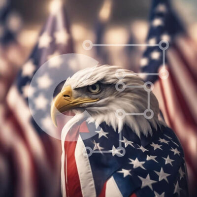 Intra Συλλεκτικό Ξύλινο Παζλ Plywood  4mm - Αετός στην αμερικανική σημαία με άλλες σημαίες Σε Ξύλινο Κουτί - Διαστάσεις: 10x10 cm – 25 κομμάτια - Image 1