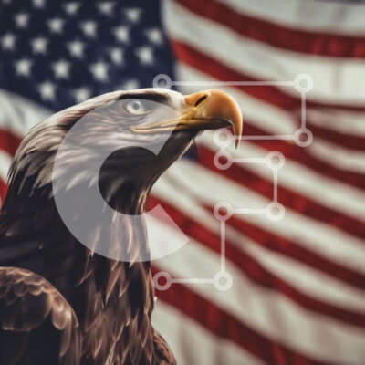 Intra Συλλεκτικό Ξύλινο Παζλ Plywood  4mm - Φαλακρός αετός και αμερικανική σημαία - σύμβολο του πατριωτισμού Σε Ξύλινο Κουτί - Διαστάσεις: 10x10 cm – 25 κομμάτια - Image 1