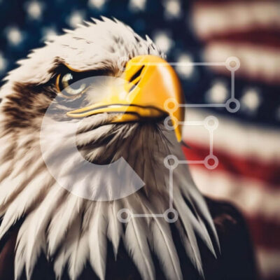 Intra Συλλεκτικό Ξύλινο Παζλ Plywood  4mm - Πατριωτικό κεφάλι αετού μπροστά από την αμερικανική σημαία Σε Ξύλινο Κουτί - Διαστάσεις Puzzle: 10x10 cm – 25 κομμάτια - Image 1