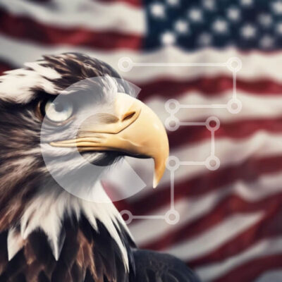 Intra Συλλεκτικό Ξύλινο Παζλ Plywood  4mm - Αετός μπροστά από την αμερικανική σημαία Σε Ξύλινο Κουτί - Διαστάσεις: 10x10 cm – 25 κομμάτια - Image 1