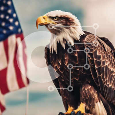 Intra Συλλεκτικό Ξύλινο Παζλ Plywood  4mm - Αετός σκαρφαλωμένος σε μια θέση με φόντο την αμερικανική σημαία Σε Ξύλινο Κουτί - Διαστάσεις: 10x10 cm – 25 κομμάτια - Image 1