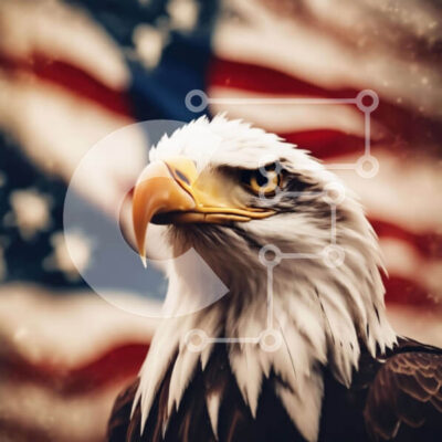 Intra Συλλεκτικό Ξύλινο Παζλ Plywood  4mm - Κοντινό πλάνο του αετού μπροστά από την αμερικανική σημαία Σε Ξύλινο Κουτί - Διαστάσεις: 10x10 cm – 25 κομμάτια - Image 1