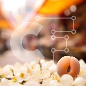 Intra Συλλεκτικό Ξύλινο Παζλ Plywood  4mm - Συστάδα λευκών λουλουδιών με αμύγδαλο σε μια αγορά ή μια εκδήλωση Σε Ξύλινο Κουτί - Διαστάσεις: 10x10 cm – 25 κομμάτια