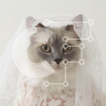 Intra Συλλεκτικό Ξύλινο Παζλ Plywood  4mm - Γάτα με κομψό λευκό πέπλο γάμου Σε Ξύλινο Κουτί - Διαστάσεις Puzzle: 10x10 cm – 25 κομμάτια - Image 1