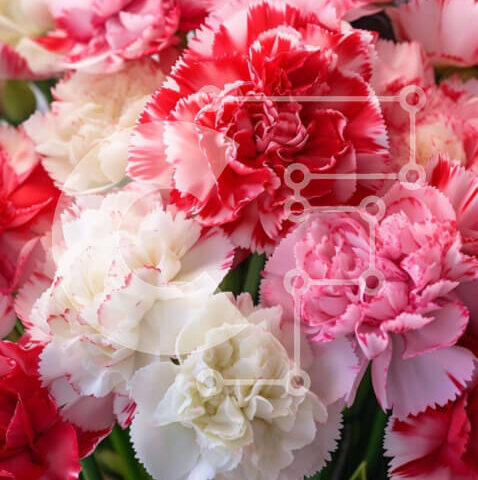 Intra Συλλεκτικό Ξύλινο Παζλ Plywood 4mm - Πολύχρωμο μπουκέτο με γαρίφαλα και ανθισμένα λουλούδια Σε Ξύλινο Κουτί - Διαστάσεις: 10x10 cm – 25 κομμάτια - Image 1