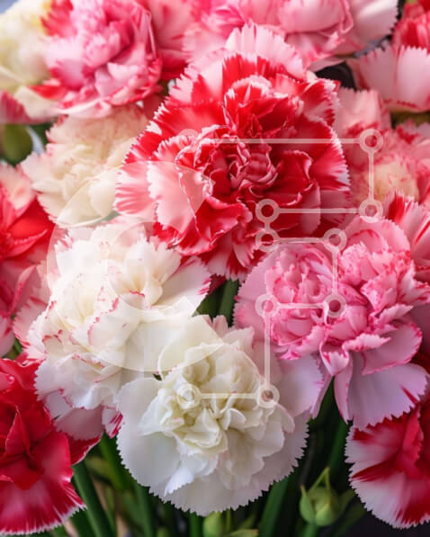 2ik6Yb9dJdZiCval3eI7REkWh24-desktop