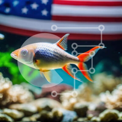 Intra Συλλεκτικό Ξύλινο Παζλ Plywood  4mm - Ζωντανά ψάρια στο ενυδρείο με φόντο αμερικανικής σημαίας Σε Ξύλινο Κουτί - Διαστάσεις: 10x10 cm – 25 κομμάτια - Image 1