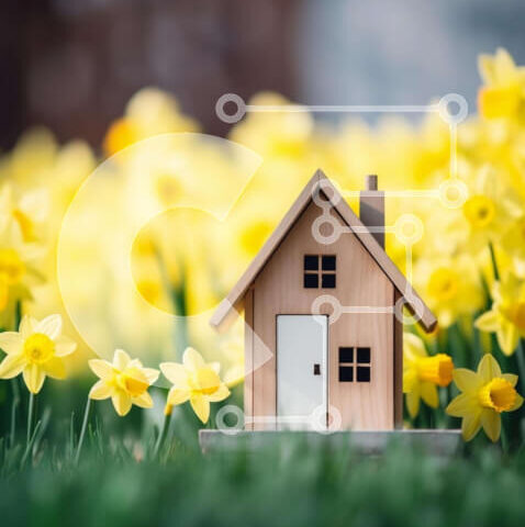 Intra Συλλεκτικό Ξύλινο Παζλ Plywood 4mm - Μικρό ξύλινο σπίτι ανάμεσα σε κίτρινους νάρκισσους Σε Ξύλινο Κουτί - Διαστάσεις: 10x10 cm – 25 κομμάτια - Image 1