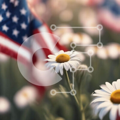 Intra Συλλεκτικό Ξύλινο Παζλ Plywood  4mm - Πεδίο με μαργαρίτες με αμερικανική σημαία Σε Ξύλινο Κουτί - Διαστάσεις Puzzle: 10x10 cm – 25 κομμάτια - Image 1