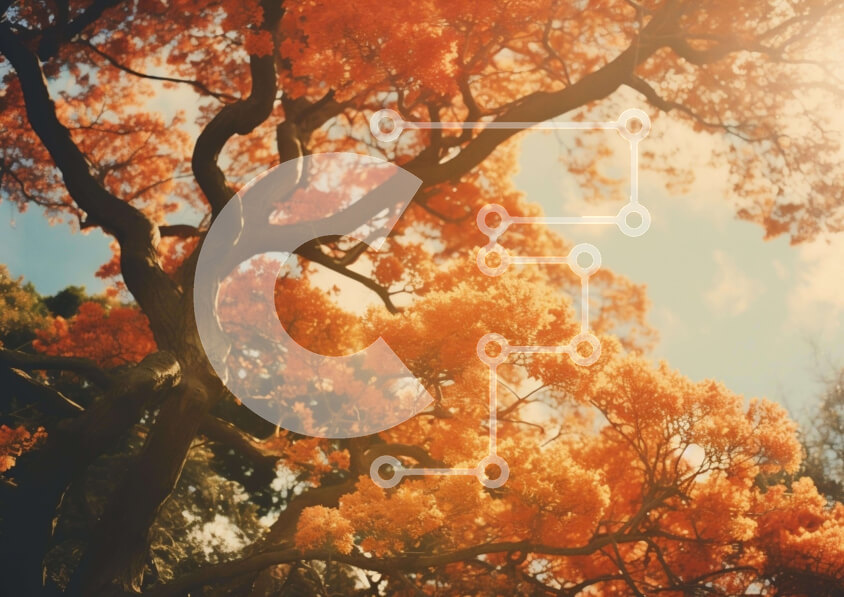 Intra Συλλεκτικό Ξύλινο Παζλ Plywood  4mm - Δονούμενο δέντρο με πορτοκαλί φύλλα σε ένα φθινοπωρινό περιβάλλον Σε Ξύλινο Κουτί - Διαστάσεις Puzzle: 10x10 cm – 25 κομμάτια