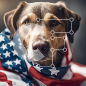 Intra Συλλεκτικό Ξύλινο Παζλ Plywood  4mm - Καφέ σκυλί τυλιγμένο με αμερικανική σημαία Σε Ξύλινο Κουτί - Διαστάσεις: 10x10 cm – 25 κομμάτια