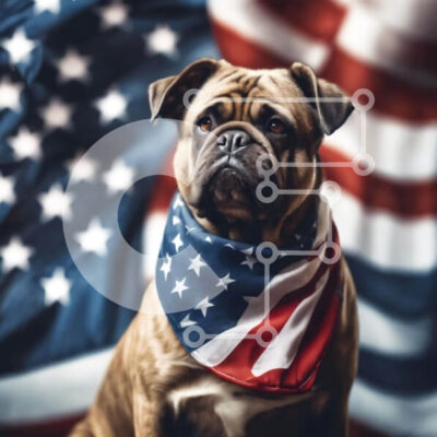 Intra Συλλεκτικό Ξύλινο Παζλ Plywood 4mm - Πατριωτικό σκυλί με αμερικανική σημαία Bandana Σε Ξύλινο Κουτί - Διαστάσεις Puzzle: 10x10 cm – 25 κομμάτια - Image 1