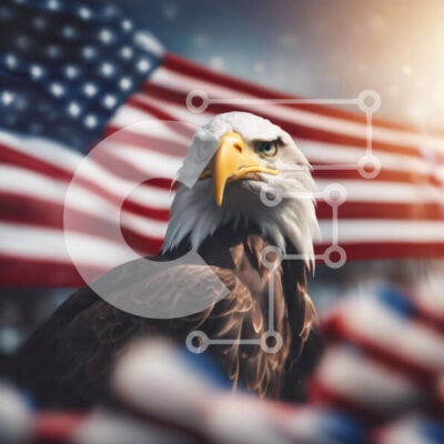 Intra Συλλεκτικό Ξύλινο Παζλ Plywood  4mm - Φαλακρός αετός σε φόντο αμερικανικής σημαίας Σε Ξύλινο Κουτί - Διαστάσεις: 10x10 cm – 25 κομμάτια - Image 1