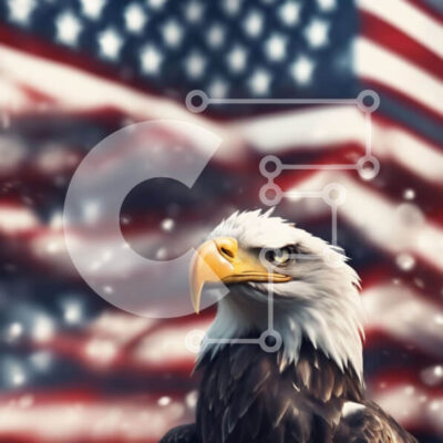 Intra Συλλεκτικό Ξύλινο Παζλ Plywood  4mm - Μεγαλοπρεπής φαλακρός αετός με αμερικανική σημαία Σε Ξύλινο Κουτί - Διαστάσεις: 10x10 cm – 25 κομμάτια - Image 1