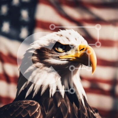 Intra Συλλεκτικό Ξύλινο Παζλ Plywood  4mm - Φαλακρός αετός και αμερικανική σημαία Σε Ξύλινο Κουτί - Διαστάσεις: 10x10 cm – 25 κομμάτια - Image 1