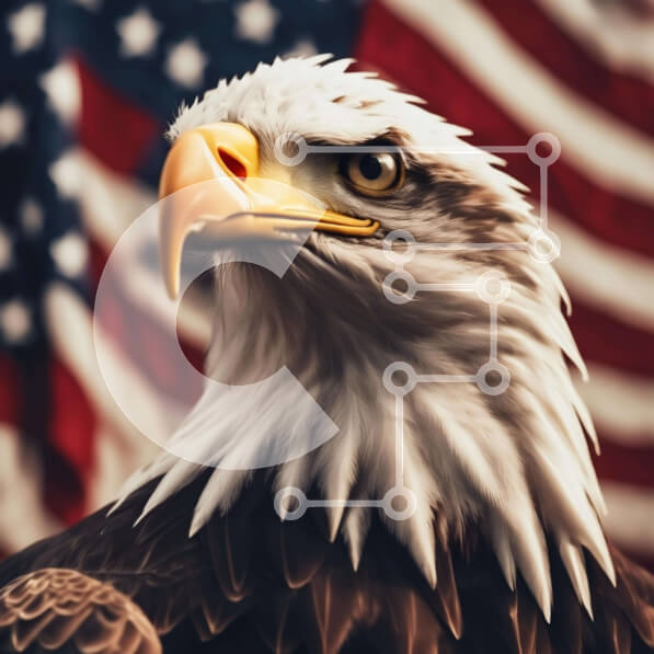 2ik6j8pQ5YfE8pZbxoHz6YuuqjS-desktop