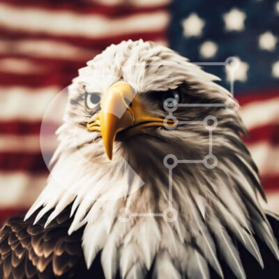 Intra Συλλεκτικό Ξύλινο Παζλ Plywood  4mm - Κοντινό πλάνο του φαλακρού αετού με την αμερικανική σημαία Σε Ξύλινο Κουτί - Διαστάσεις: 10x10 cm – 25 κομμάτια - Image 1