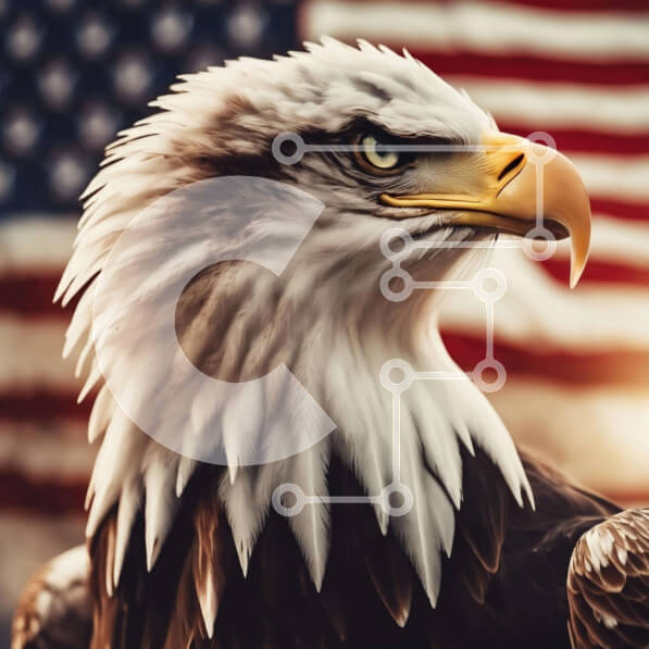 2ik6jEjcUkrdLQa3ZFH84xoB8J0-desktop