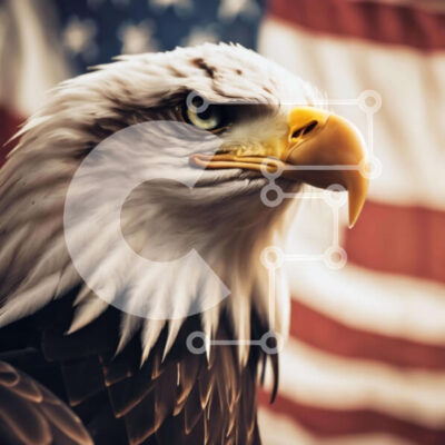 Intra Συλλεκτικό Ξύλινο Παζλ Plywood  4mm - Αετός και αμερικανική σημαία Σε Ξύλινο Κουτί - Διαστάσεις: 10x10 cm – 25 κομμάτια - Image 1