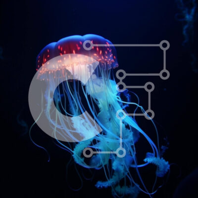 Intra Συλλεκτικό Ξύλινο Παζλ Plywood  4mm - Λαμπερή μέδουσα στο σκοτεινό νερό Σε Ξύλινο Κουτί - Διαστάσεις: 10x10 cm – 25 κομμάτια - Image 1