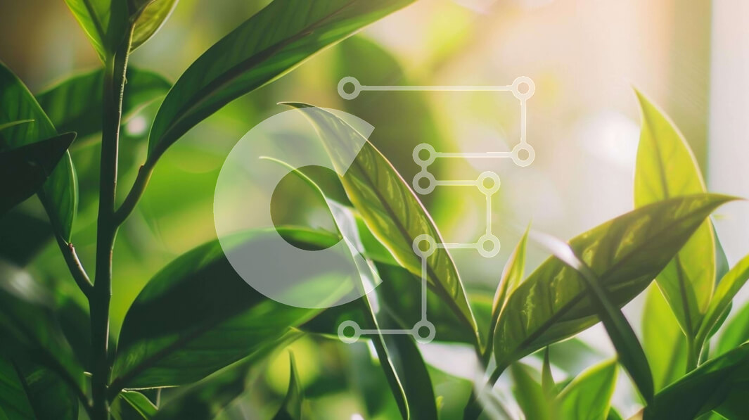 Intra Συλλεκτικό Ξύλινο Παζλ Plywood  4mm - Κοντινό πλάνο με πλούσια πράσινα φυτά που αναπτύσσονται από ένα παράθυρο Σε Ξύλινο Κουτί - Διαστάσεις: 10x10 cm – 25 κομμάτια