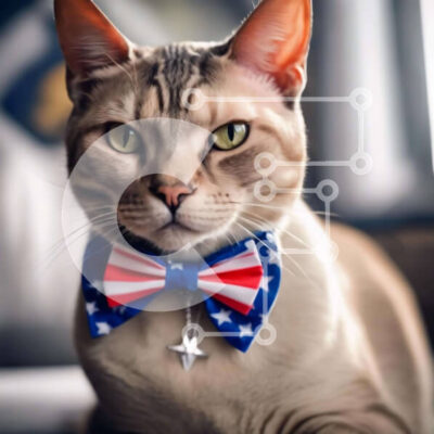 Intra Συλλεκτικό Ξύλινο Παζλ Plywood 4mm - Γάτα με παπιγιόν με αμερικανική σημαία κάθεται στον καναπέ Σε Ξύλινο Κουτί - Διαστάσεις: 10x10 cm – 25 κομμάτια - Image 1