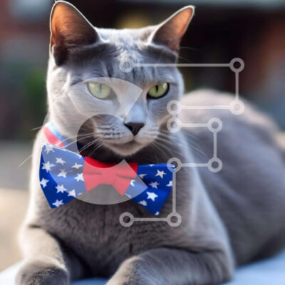 Intra Συλλεκτικό Ξύλινο Παζλ Plywood  4mm - Γκρι γάτα με παπιγιόν Σε Ξύλινο Κουτί - Διαστάσεις: 10x10 cm – 25 κομμάτια - Image 1