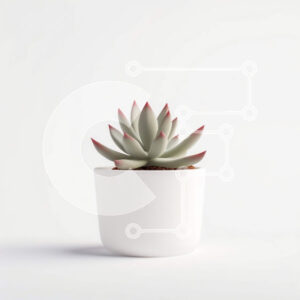 Intra Συλλεκτικό Ξύλινο Παζλ Plywood  4mm - Μικρό παχύφυτο σε γλάστρα Σε Ξύλινο Κουτί - Διαστάσεις: 10x10 cm – 25 κομμάτια