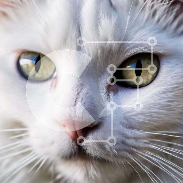 2ik7BvgGoSOrJQAFonstOX6mpCd-desktop