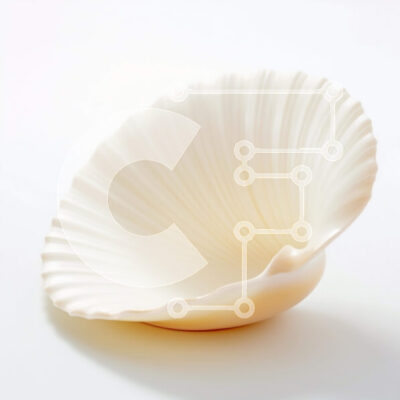 Intra Συλλεκτικό Ξύλινο Παζλ Plywood 4mm - Λευκό κοχύλι σε απλή λευκή επιφάνεια Σε Ξύλινο Κουτί - Διαστάσεις: 10x10 cm – 25 κομμάτια - Image 1