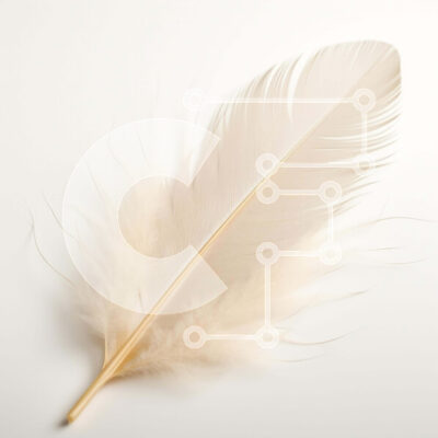 Intra Συλλεκτικό Ξύλινο Παζλ Plywood 4mm - Λευκό φτερό σε λευκή επιφάνεια Σε Ξύλινο Κουτί - Διαστάσεις: 10x10 cm – 25 κομμάτια - Image 1