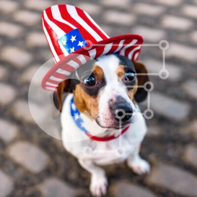Intra Συλλεκτικό Ξύλινο Παζλ Plywood 4mm - Μικρό σκυλί με καπέλο με θέμα την αμερικανική σημαία για τις 4 Ιουλίου Σε Ξύλινο Κουτί - Διαστάσεις: 10x10 cm – 25 κομμάτια - Image 1