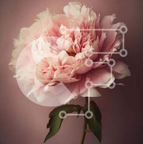 Intra Συλλεκτικό Ξύλινο Παζλ Plywood 4mm - Ροζ λουλούδι παιώνιας σε ανοιχτό βάζο Σε Ξύλινο Κουτί - Διαστάσεις: 10x10 cm – 25 κομμάτια - Image 1