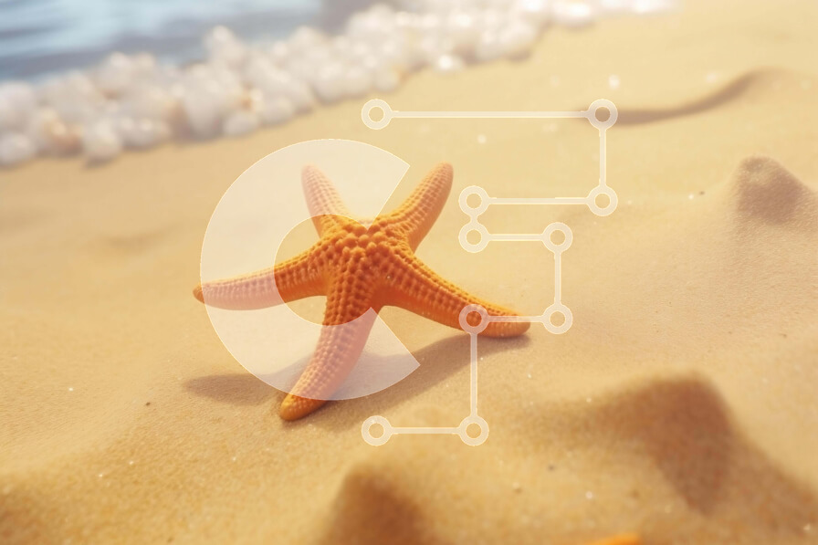 Intra Συλλεκτικό Ξύλινο Παζλ Plywood  4mm - Πορτοκαλί αστερίας στην αμμώδη παραλία δίπλα στη θάλασσα Σε Ξύλινο Κουτί - Διαστάσεις: 10x10 cm – 25 κομμάτια