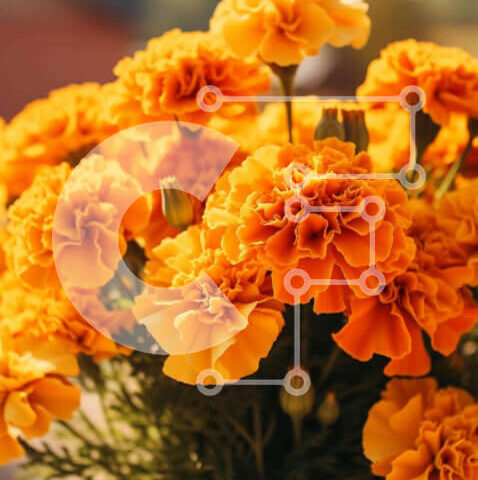 Intra Συλλεκτικό Ξύλινο Παζλ Plywood  4mm - Ζωντανό μπουκέτο με κίτρινα λουλούδια Σε Ξύλινο Κουτί - Διαστάσεις: 10x10 cm – 25 κομμάτια - Image 1