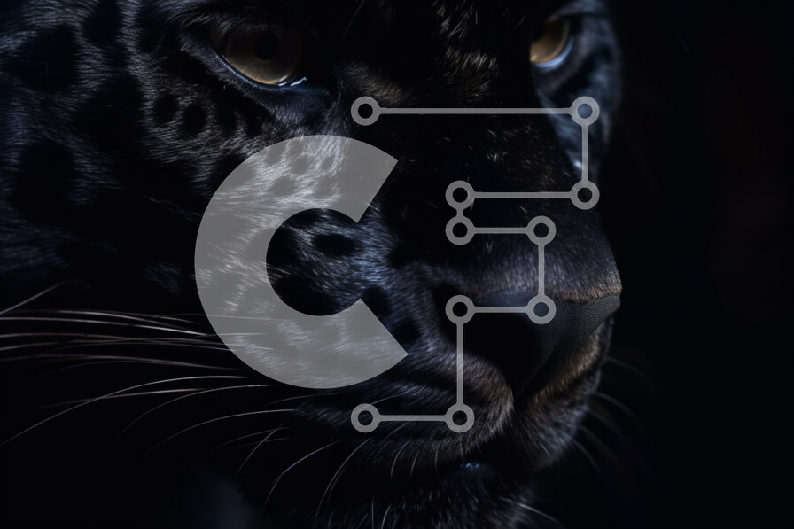 Intra Συλλεκτικό Ξύλινο Παζλ Plywood  4mm - Έντονο βλέμμα: Κοντινό πλάνο της Black Jaguar Σε Ξύλινο Κουτί - Διαστάσεις: 10x10 cm – 25 κομμάτια