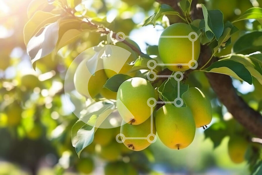 Intra Συλλεκτικό Ξύλινο Παζλ Plywood  4mm - Δέντρο με πράσινους καρπούς Σε Ξύλινο Κουτί - Διαστάσεις: 10x10 cm – 25 κομμάτια