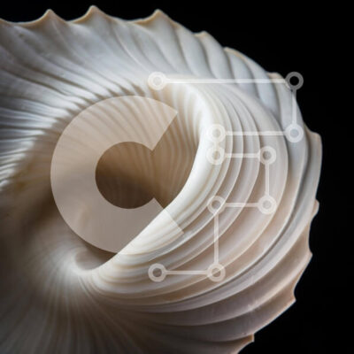 Intra Συλλεκτικό Ξύλινο Παζλ Plywood  4mm - Λευκό σπιράλ θαλασσινό κοχύλι Σε Ξύλινο Κουτί - Διαστάσεις: 10x10 cm – 25 κομμάτια - Image 1