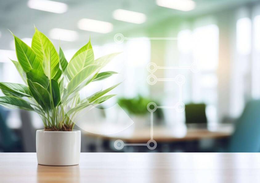 Intra Συλλεκτικό Ξύλινο Παζλ Plywood  4mm - Λευκό φυτό σε γλάστρα σε χώρο εργασίας γραφείου Σε Ξύλινο Κουτί - Διαστάσεις Puzzle: 10x10 cm – 25 κομμάτια