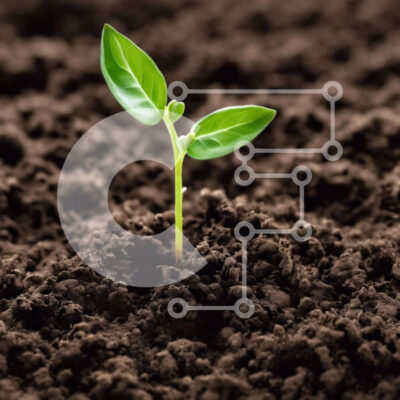 Intra Συλλεκτικό Ξύλινο Παζλ Plywood  4mm - Μικρό πράσινο φυτό που φυτρώνει από το έδαφος Σε Ξύλινο Κουτί - Διαστάσεις: 10x10 cm – 25 κομμάτια - Image 1