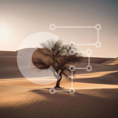 Intra Συλλεκτικό Ξύλινο Παζλ Plywood 4mm - Μοναχικό δέντρο στο έρημο τοπίο Σε Ξύλινο Κουτί - Διαστάσεις: 10x10 cm – 25 κομμάτια - Image 1