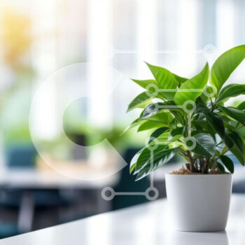 Intra Συλλεκτικό Ξύλινο Παζλ Plywood  4mm - Λευκό φυτό σε γλάστρα στο γραφείο Σε Ξύλινο Κουτί - Διαστάσεις Puzzle: 10x10 cm – 25 κομμάτια - Image 1