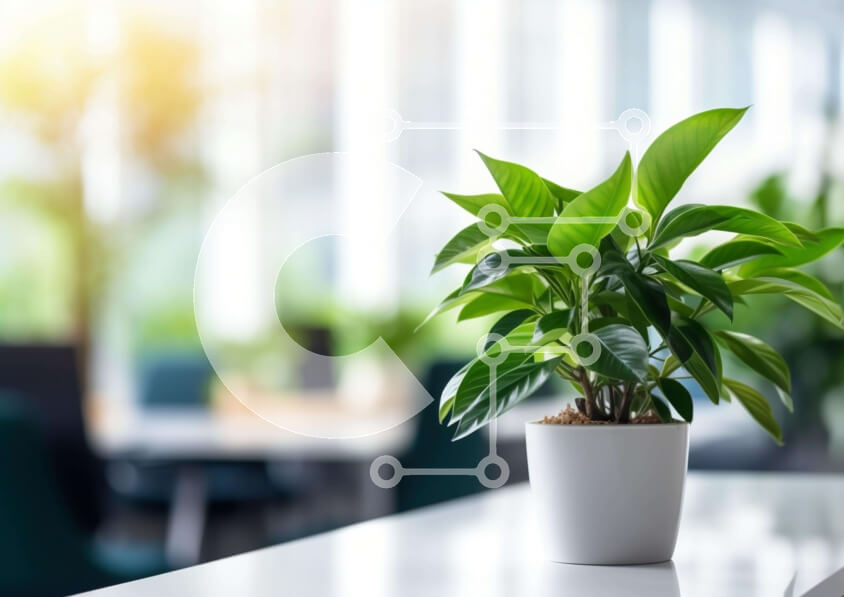 Intra Συλλεκτικό Ξύλινο Παζλ Plywood  4mm - Λευκό φυτό σε γλάστρα στο γραφείο Σε Ξύλινο Κουτί - Διαστάσεις Puzzle: 10x10 cm – 25 κομμάτια