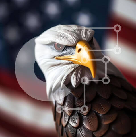 Intra Συλλεκτικό Ξύλινο Παζλ Plywood  4mm - Ξύλινο άγαλμα αετού με αμερικανική σημαία Σε Ξύλινο Κουτί - Διαστάσεις: 10x10 cm – 25 κομμάτια - Image 1