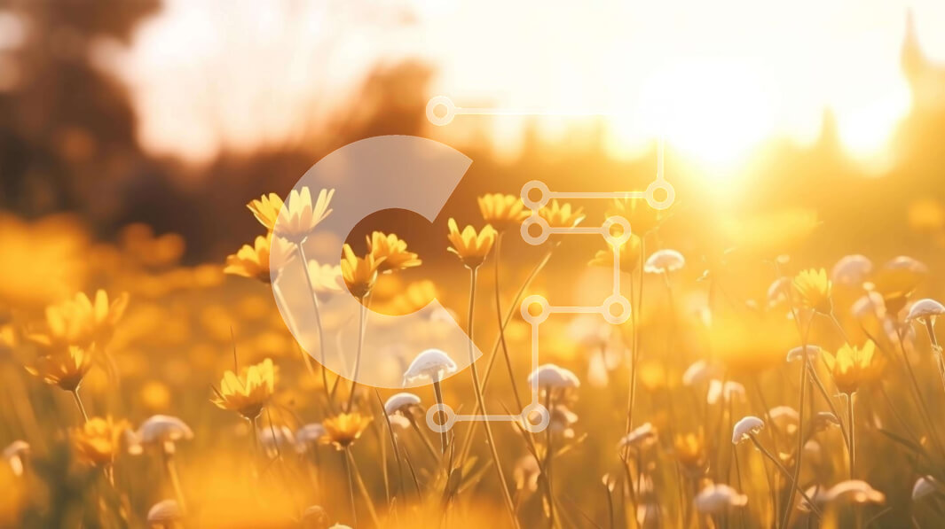 Intra Συλλεκτικό Ξύλινο Παζλ Plywood  4mm - Ηλιοβασίλεμα Πεδίο λουλουδιών Σε Ξύλινο Κουτί - Διαστάσεις: 10x10 cm – 25 κομμάτια