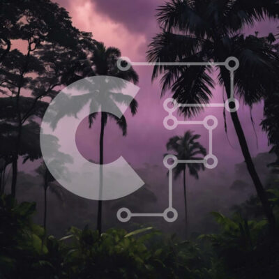 Intra Συλλεκτικό Ξύλινο Παζλ Plywood  4mm - Τροπικό δάσος με φοίνικες και πορφυρά σύννεφα Σε Ξύλινο Κουτί - Διαστάσεις: 10x10 cm – 25 κομμάτια - Image 1