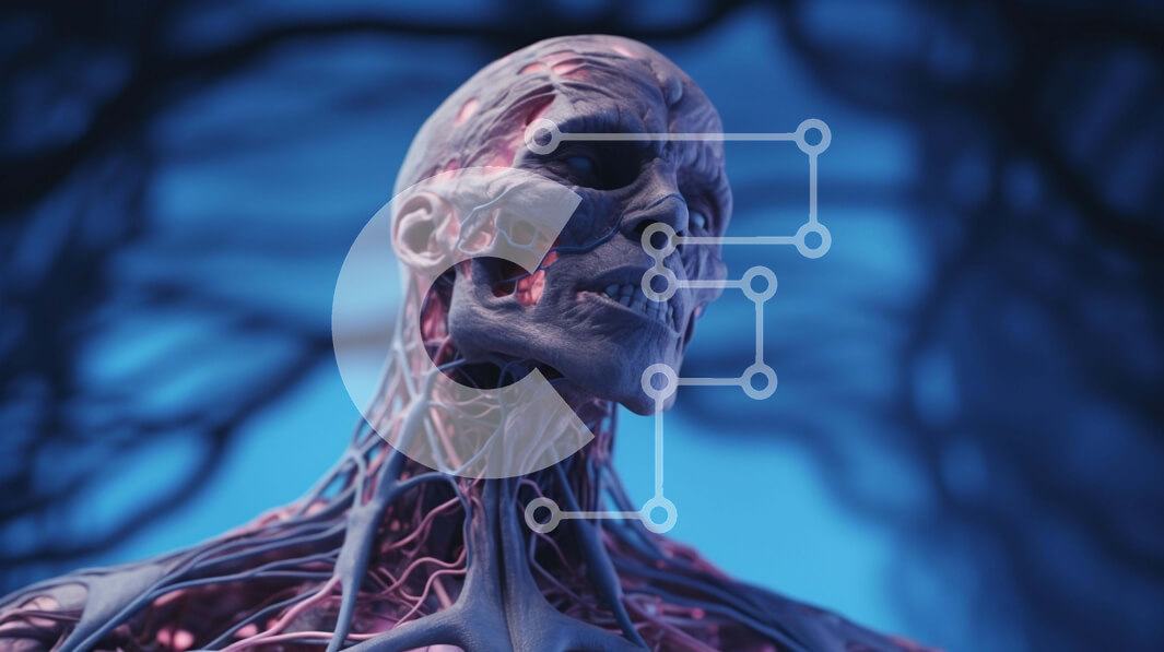 Intra Συλλεκτικό Ξύλινο Παζλ Plywood  4mm - Λεπτομερές τρισδιάστατο μοντέλο ανθρώπινου σκελετού Σε Ξύλινο Κουτί - Διαστάσεις Puzzle: 10x10 cm – 25 κομμάτια